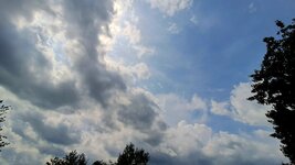 20260531_130729.jpg