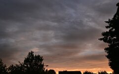 DSC_5374.jpg