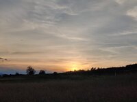 IMG_20260602_203031.jpg