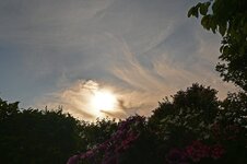 DSC_5411.jpg