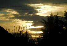 113.JPG