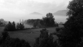 20200807_061846.jpg