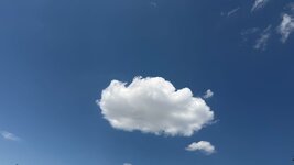 IMG_8337.jpeg