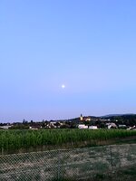 IMG_6462.jpeg