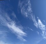IMG_4235.jpeg