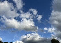 IMG_7996.jpeg