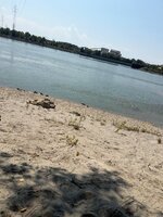 IMG_9344.jpeg