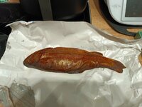 IMG_20260814_132701.jpg