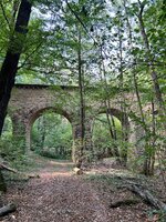 IMG_6946.jpeg