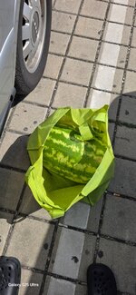 20260829_121259.jpg