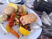 IMG_20260901_164408.jpg