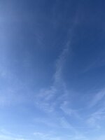 IMG_2513.jpeg
