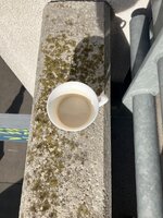 IMG_3465.jpeg