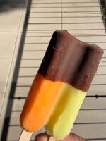 IMG_2786.jpeg