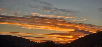 20261006_183003.jpg