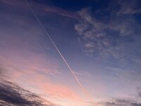 IMG_8470.jpeg