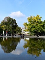 DSC_9225.jpg