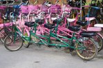 $IMGP1001-1.jpg $IMGP1001-1.jpg