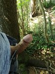 IMG_20170430_122919.jpg