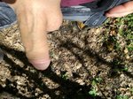 IMG_20170430_125551.jpg