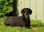 20170811_083820.jpg
