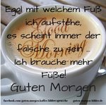 IMG-20170903-WA0006.jpg IMG-20170903-WA0006.jpg