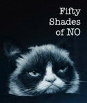 Fifty-Shades-of-NO-255x300.jpg