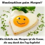 IMG-20170820-WA0000.jpg IMG-20170820-WA0000.jpg