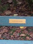 20171029_151658.jpg