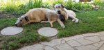 IMG-20180704-WA0004.jpg