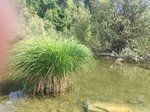 IMG_6929.JPG