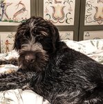 3FE2D46C-2223-4510-AE1D-58EB73FF6FFD.jpeg 3FE2D46C-2223-4510-AE1D-58EB73FF6FFD.jpeg