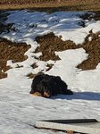 20190212_093220.jpg