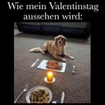 FB_IMG_1550090402623.jpg