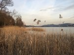 IMG_8425.JPG