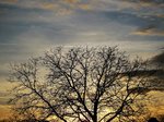 DSCN3061.JPG