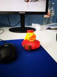 IMG_20190522_122547.jpg