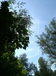 IMG_20190609_150433.jpg
