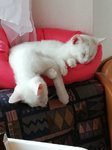 IMG-20190622-WA0000.jpg