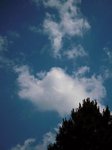 DSCN4210.JPG