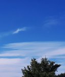 20190711_080839.jpg