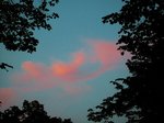 DSCN4279.JPG