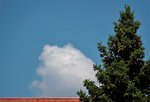 DSCN4288.JPG