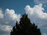 DSCN4293.JPG