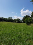 20190804_120852.jpg