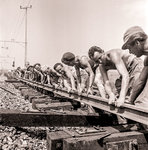 Schienenbau.jpg Schienenbau.jpg