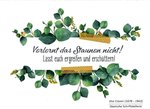 Bild (46).jpg