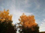 DSCN7356.JPG