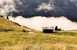 Lightroom Bilder-1020105.jpg