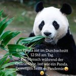 IMG-20200417-WA0001.jpg IMG-20200417-WA0001.jpg